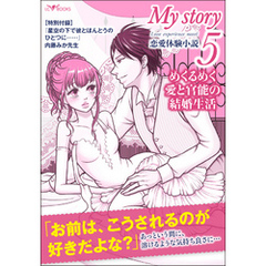 My story　～恋愛体験小説～５　めくるめく愛と官能の結婚生活