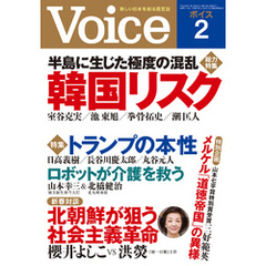 Voice 平成29年2月号