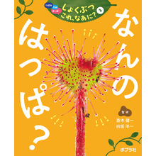 つぼみ・たね・はっぱ・・・　しょくぶつ　これ、なあに？　3　なんの　はっぱ？