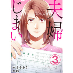 夫婦じまい 3巻