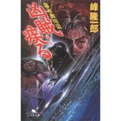 凶賊疾（はし）る　幕末御用盗