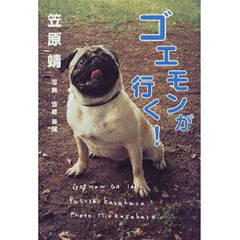 ゴエモンが行く！
