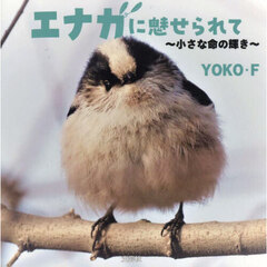 エナガに魅せられて　小さな命の輝き