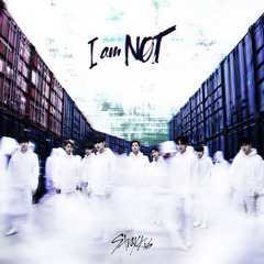 STRAY KIDS/1ST MINI PREVIEW ALBUM : I AM NOT（輸入盤）