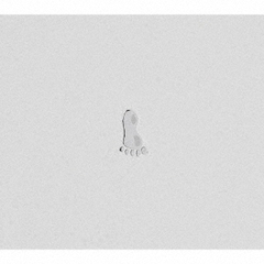 ammo Orange Owl Records ギターピック【3枚】 ammo Orange Owl Records ギターピック【3枚】 ミュージシャン