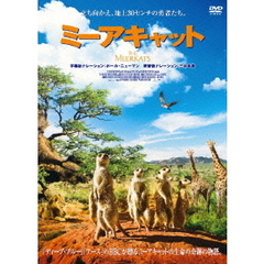 ミーアキャット　スペシャル・エディション（ＤＶＤ）