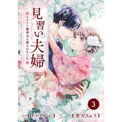 comic Berry’s見習い夫婦～エリート御曹司に娶られました～3巻