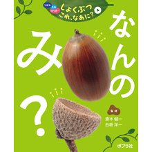 つぼみ・たね・はっぱ・・・　しょくぶつ　これ、なあに？　4　なんの　み？