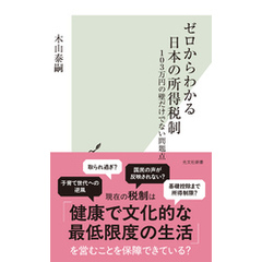 ゼロからわかる日本の所得税制～103万円の壁だけでない問題点～