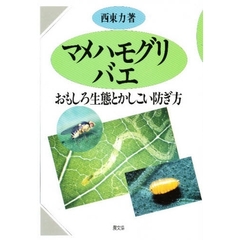 マメハモグリバエ　おもしろ生態とかしこい防ぎ方