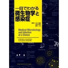 一目でわかる微生物学と感染症