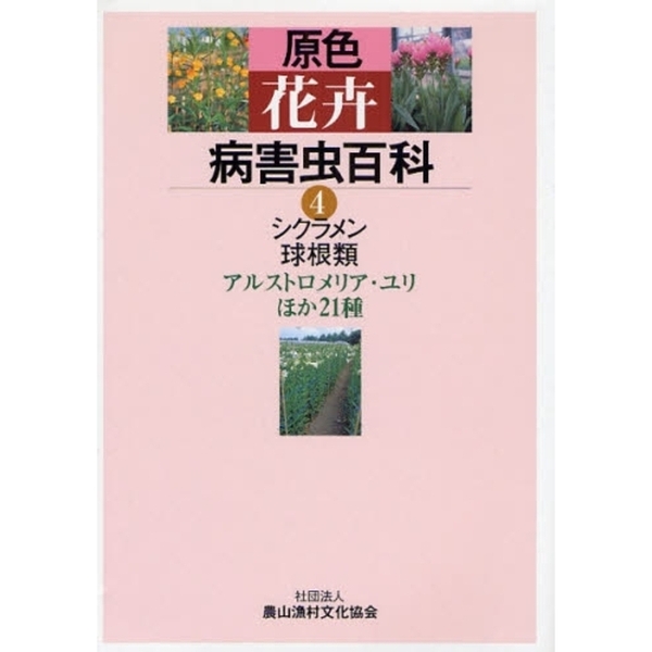 ֥ͥåȥåԥ󥰤㤨ָ³ɴʡ󡦵庬ࡡ륹ȥꥢۤפβǤʤ13,619ߤˤʤޤ