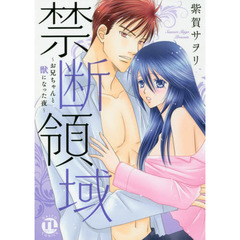 禁断領域～お兄ちゃんと獣になった夜～