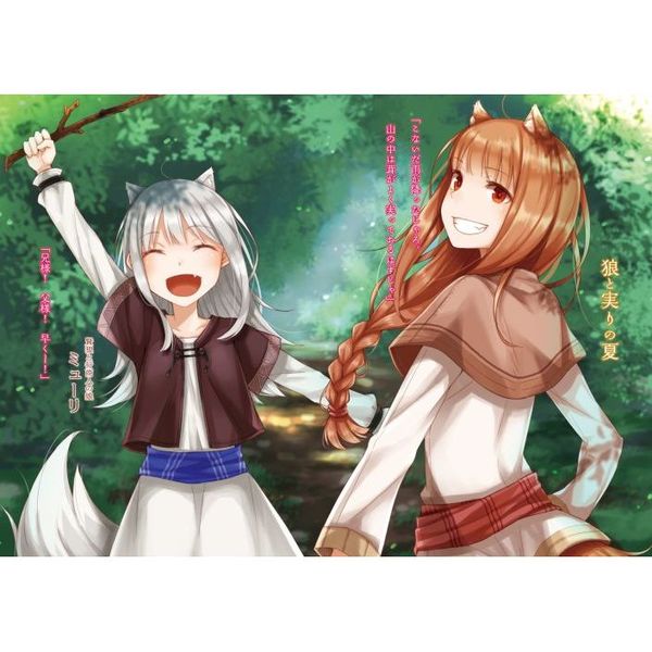 狼と香辛料 23 Spring Log 6 通販|セブンネット 狼と香辛料 23 Spring Log 6 通販|セブンネット