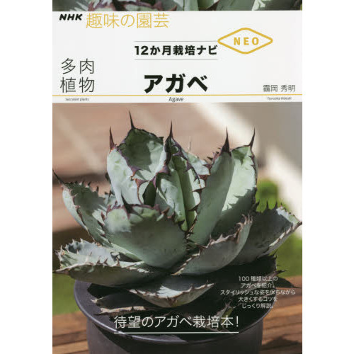 ֥ͥåȥåԥ󥰤㤨¿ʪ١פβǤʤ1,650ߤˤʤޤ