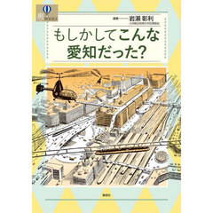 もしかしてこんな愛知だった？