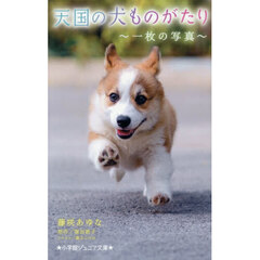 天国の犬ものがたり　〔１９〕　一枚の写真