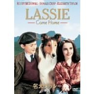 名犬ラッシー／家路（ＤＶＤ）