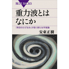 重力波とはなにか　「時空のさざなみ」が拓く新たな宇宙論