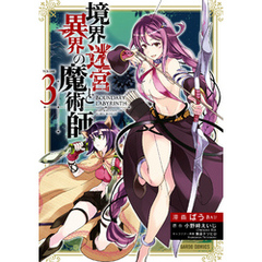 境界迷宮と異界の魔術師 3