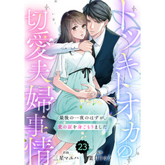 comic Berry’sトツキトオカの切愛夫婦事情～最後の一夜のはずが、愛の証を身ごもりました～23巻