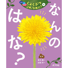 つぼみ・たね・はっぱ・・・　しょくぶつ　これ、なあに？　5　なんの　はな？