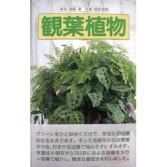 観葉植物