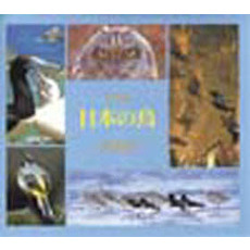 日本の鳥　写真集　１９９５