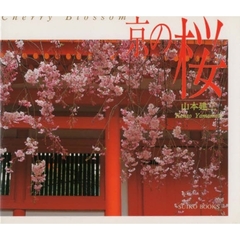 京の桜