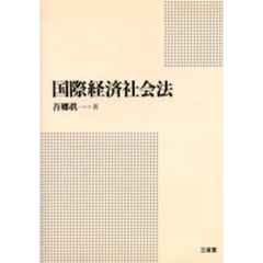 国際経済社会法