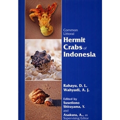 Ｃｏｍｍｏｎ　Ｌｉｔｔｏｒａｌ　Ｈｅｒｍｉｔ　Ｃｒａｂｓ　ｏｆ　Ｉｎｄｏｎｅｓｉａ