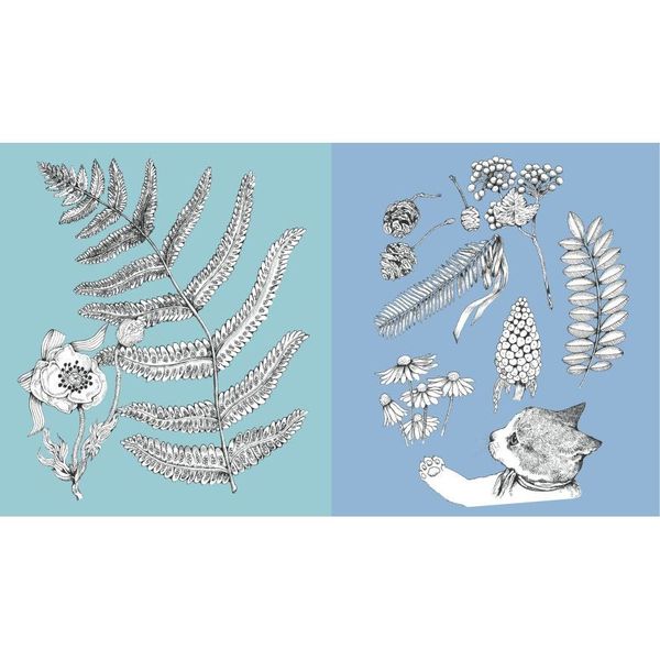 ヒグチユウコ　絵 特典ぬりえ付】ヒグチユウコxホルベイン2024 全部セット