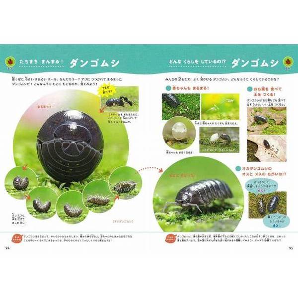 いきもののはっけん！ハンディ図鑑 しぜんとあそぼう！ 知りたいがグン