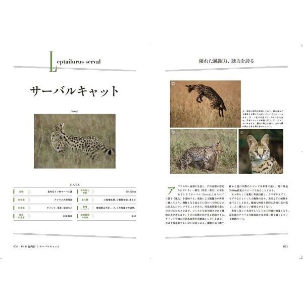 魅惑の特定動物完全飼育バイブル