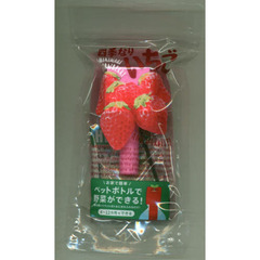 ペットボトル栽培グリーントイ　いちご