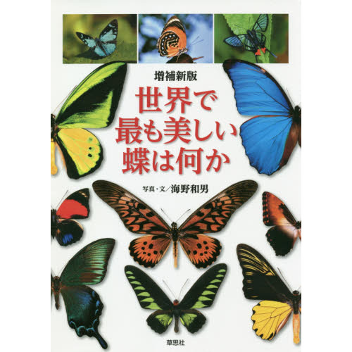 世界で最も美しい蝶は何か 増補新版 通販｜セブンネットショッピング