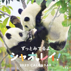 ’２３　シャオ・レイ！　ＣＡＬＥＮＤＡＲ