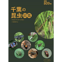 千葉の昆虫図鑑　８０９種