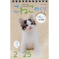 ’２５　こねこめくり
