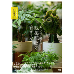もう枯らさない！観葉植物の育て方
