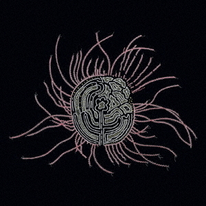 ֥ͥåȥåԥ󥰤㤨BearingsSoundtracksfortheBardosפβǤʤ2,420ߤˤʤޤ