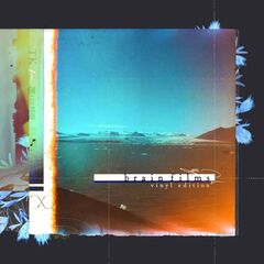 TK from 凛として時雨／brain films -vinyl edition-（完全生産限定盤／2LP）（アナログ盤）（セブンネット限定特典：コンビニエコバッグ）