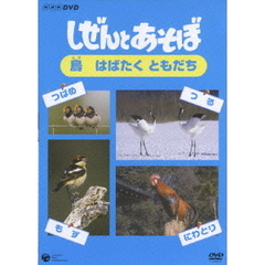 しぜんとあそぼ　～鳥　はばたく　ともだち～（ＤＶＤ）