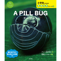 A PILL BUG　ダンゴムシ