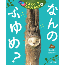 つぼみ・たね・はっぱ・・・　しょくぶつ　これ、なあに？　6　なんの　ふゆめ？