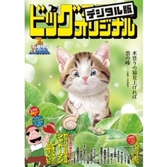 ビッグコミックオリジナル増刊 2025年7月増刊号（2025年6月12日発売）