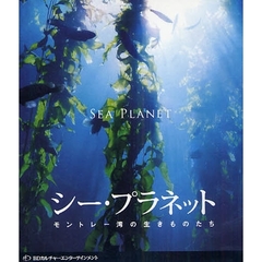 ＢＤ　シー・プラネット　モントレー湾の生