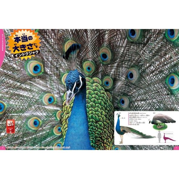 学研の図鑑LIVE 鳥 通販｜セブンネットショッピング