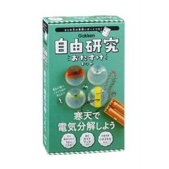 自由研究おたすけキット　寒天で電気分解しよう