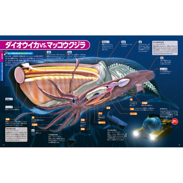 小学館の図鑑NEO 講談社の動く図鑑 ワンダームーブ 人体のふしぎ